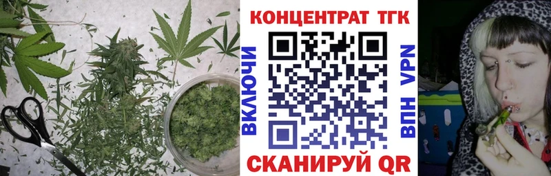где купить наркоту  Пустошка  Дистиллят ТГК THC oil 